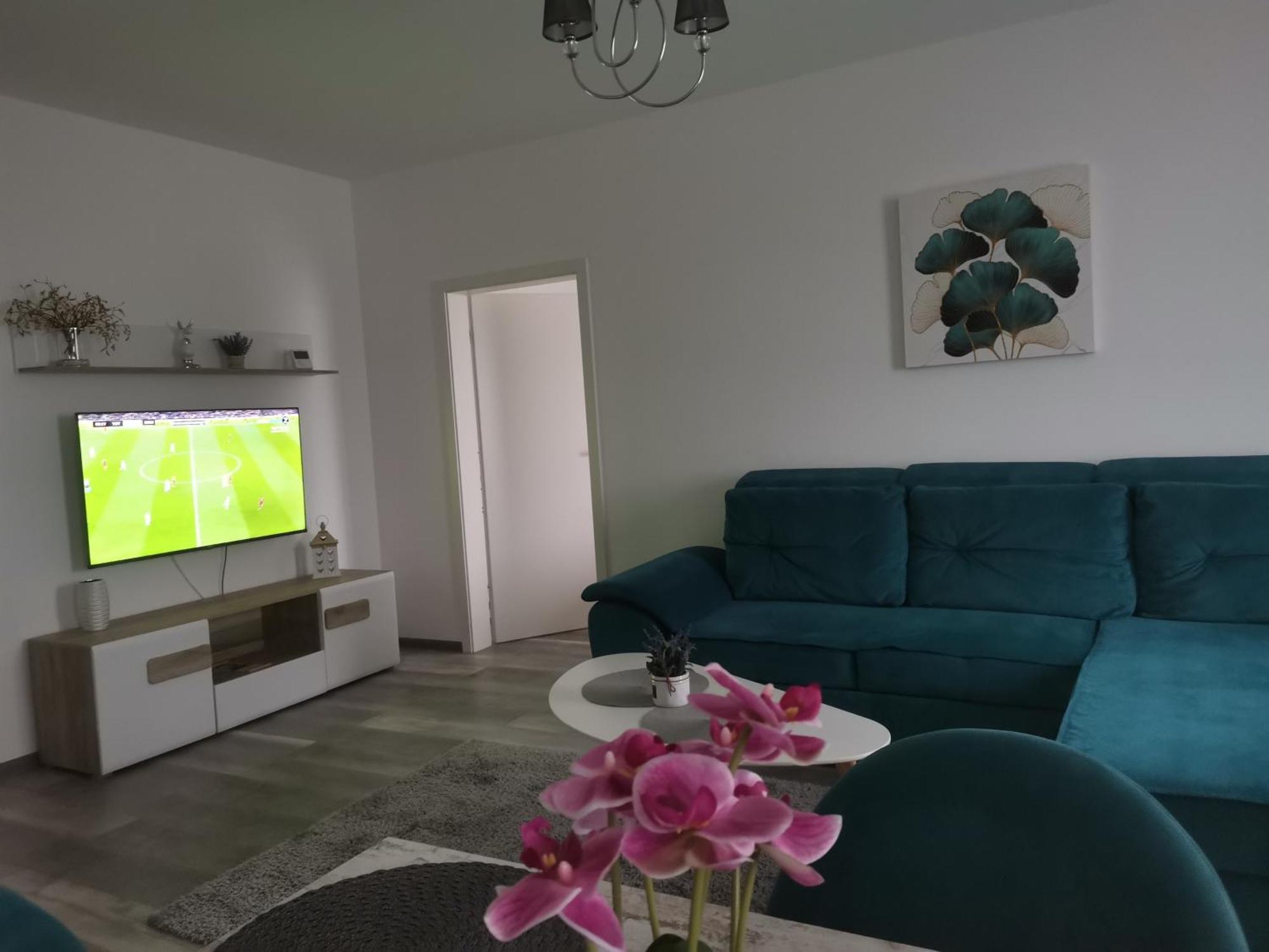 Apartmant Melinda M26 브라쇼브 외부 사진